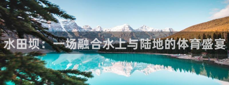 中山熊猫体育