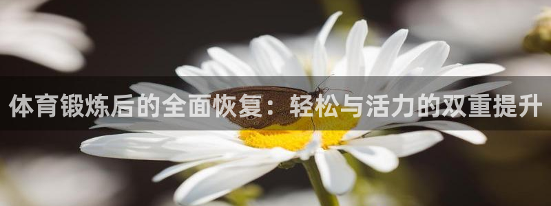 熊猫体育app官方入口