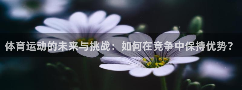 下载熊猫体育