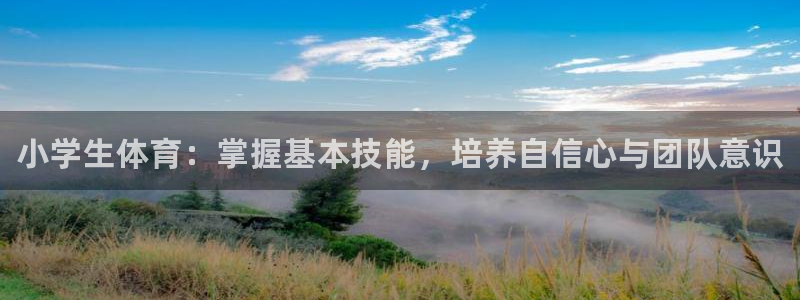 熊猫体育网址