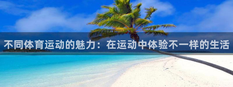 成都金熊猫体育