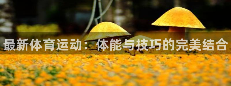 中山熊猫体育