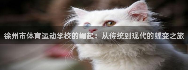 熊猫体育平台官网