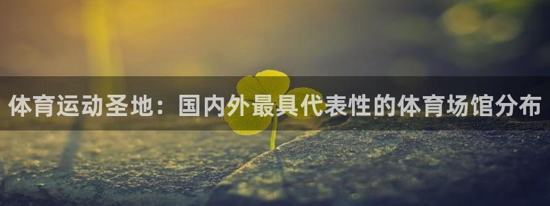 熊猫体育直播nba