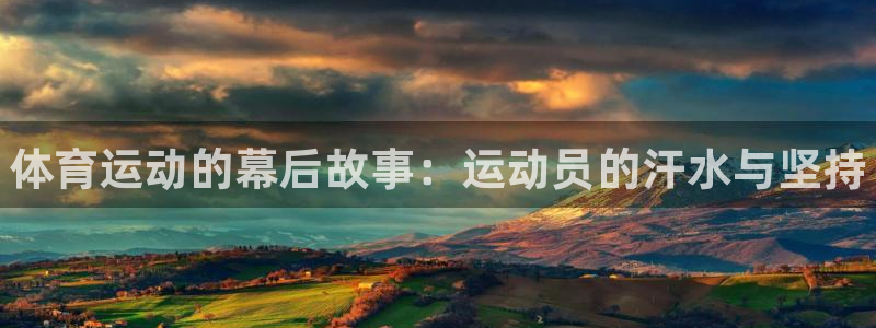 熊猫体育app下载安装