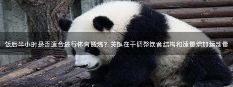 熊猫体育免费下载
