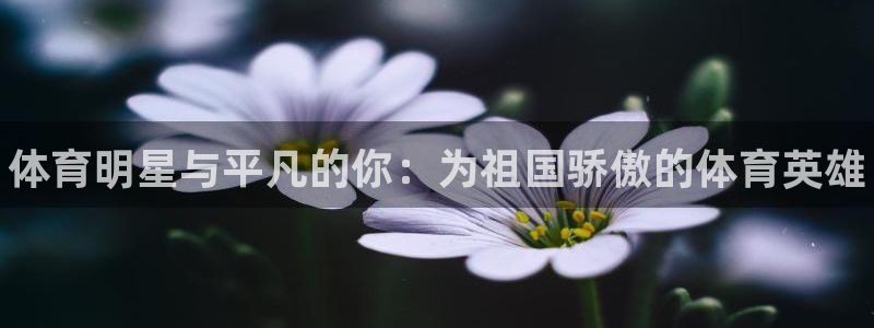 熊猫体育怎么样