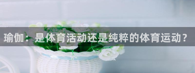 181熊猫体育