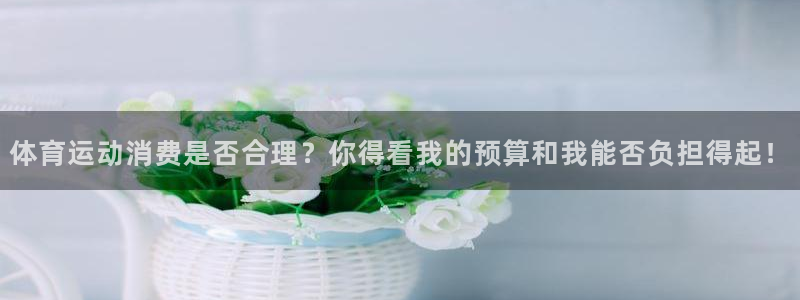 熊猫体育平台