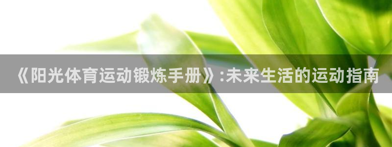 熊猫体育app官方下载最新版