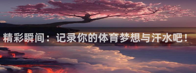 181熊猫体育
