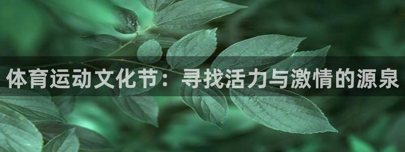 熊猫体育官网