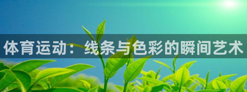熊猫体育app下载安装