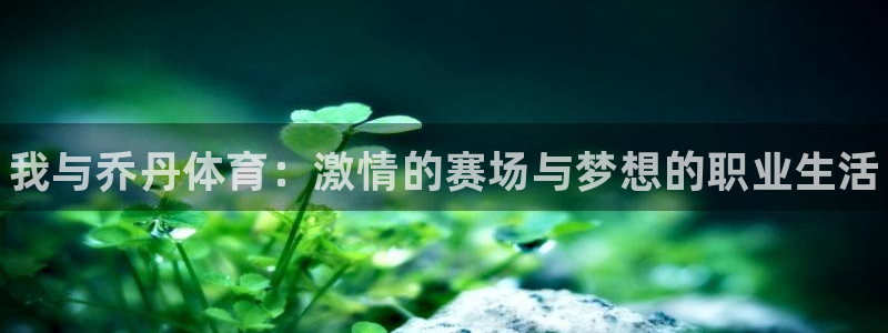 熊猫体育手机版