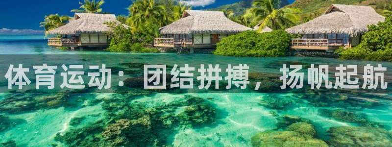 动感熊猫体育公园
