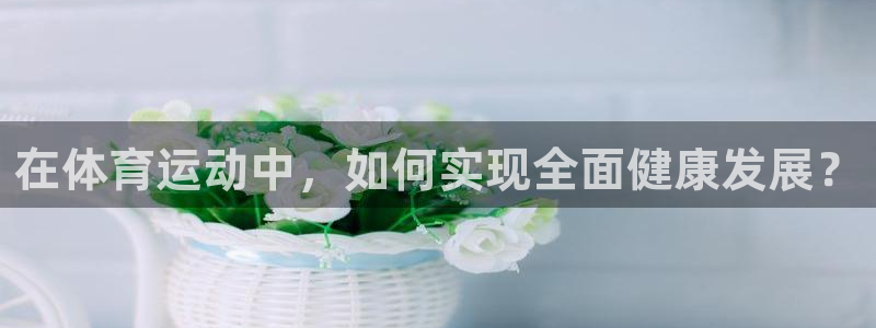 熊猫体育平台官网