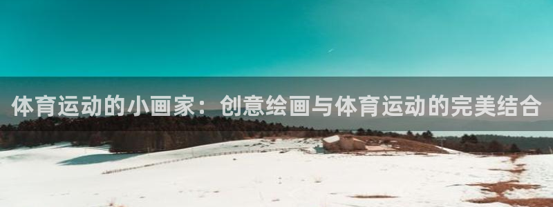 熊猫体育平台