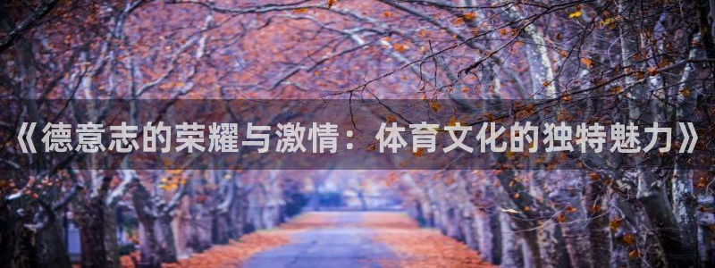 熊猫体育手机版