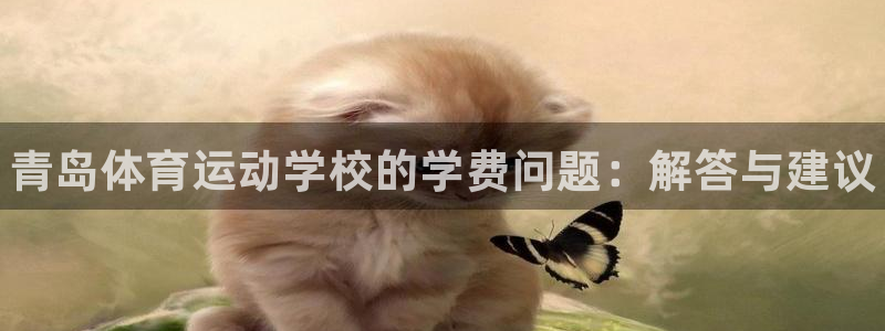 熊猫体育官网首页入口