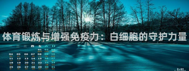 成都金熊猫体育