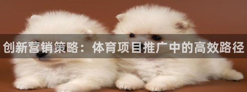 181熊猫体育