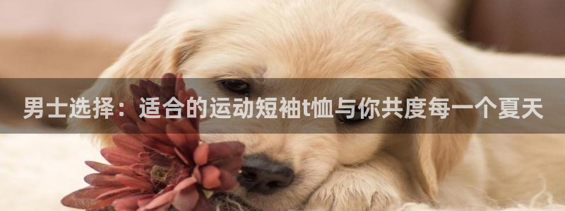 熊猫体育公园