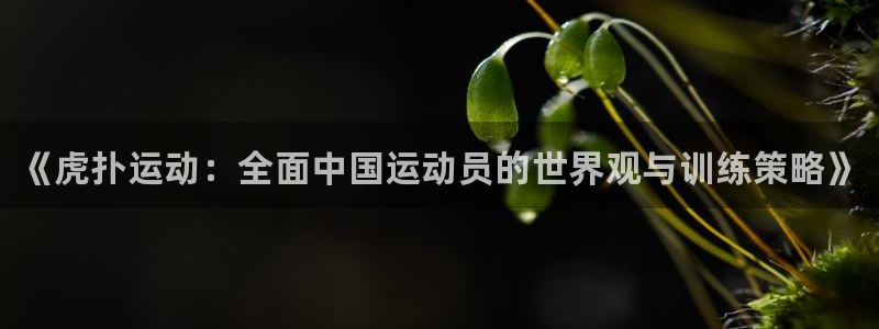 熊猫体育手机版下载